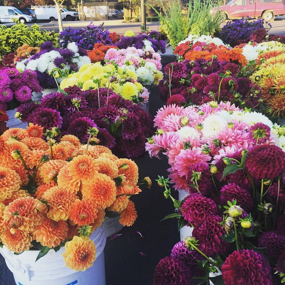 Mother’s Day at the Market!